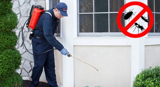 Çekerek Böcek ve Haşere İlaçlama böcek ilaçlama ve haşere kontrolü — ilaclama-tr.com